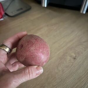 Red Potato